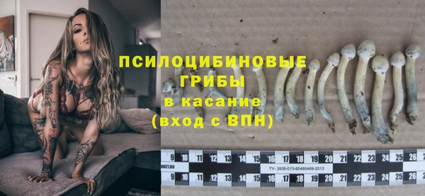 амф Алексеевка
