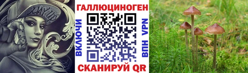 Галлюциногенные грибы прущие грибы кракен вход Пущино