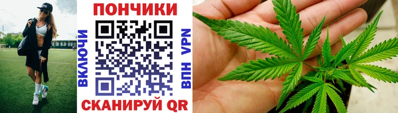 Конопля ГИДРОПОН  MEGA ССЫЛКА  Пущино  купить наркотики цена 